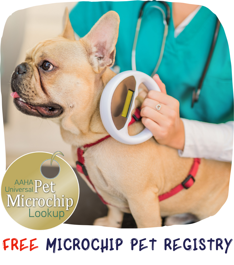 Findpet The SMART pet microchip registry. Lost and found Pets